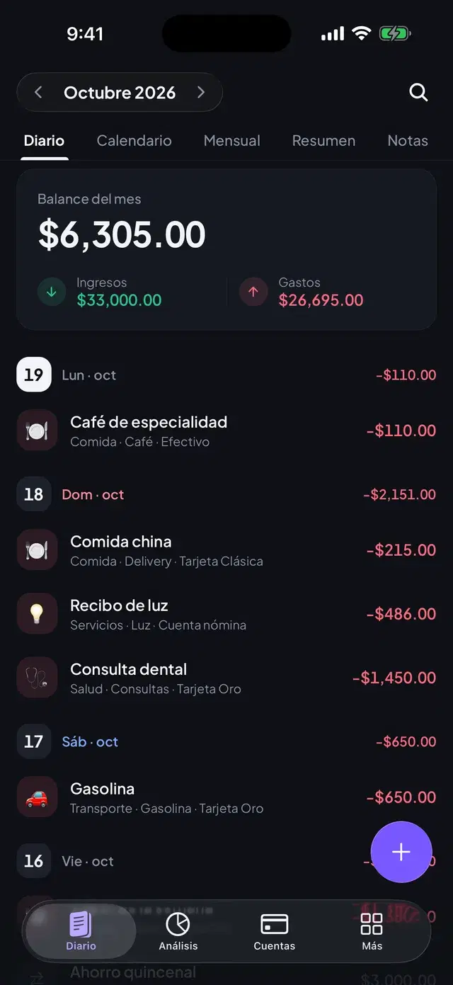 Daily ledger with monthly balance